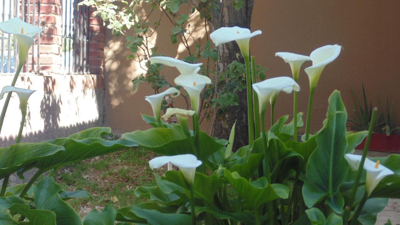 Casa Las Calas 푸에르토마드린 외부 사진