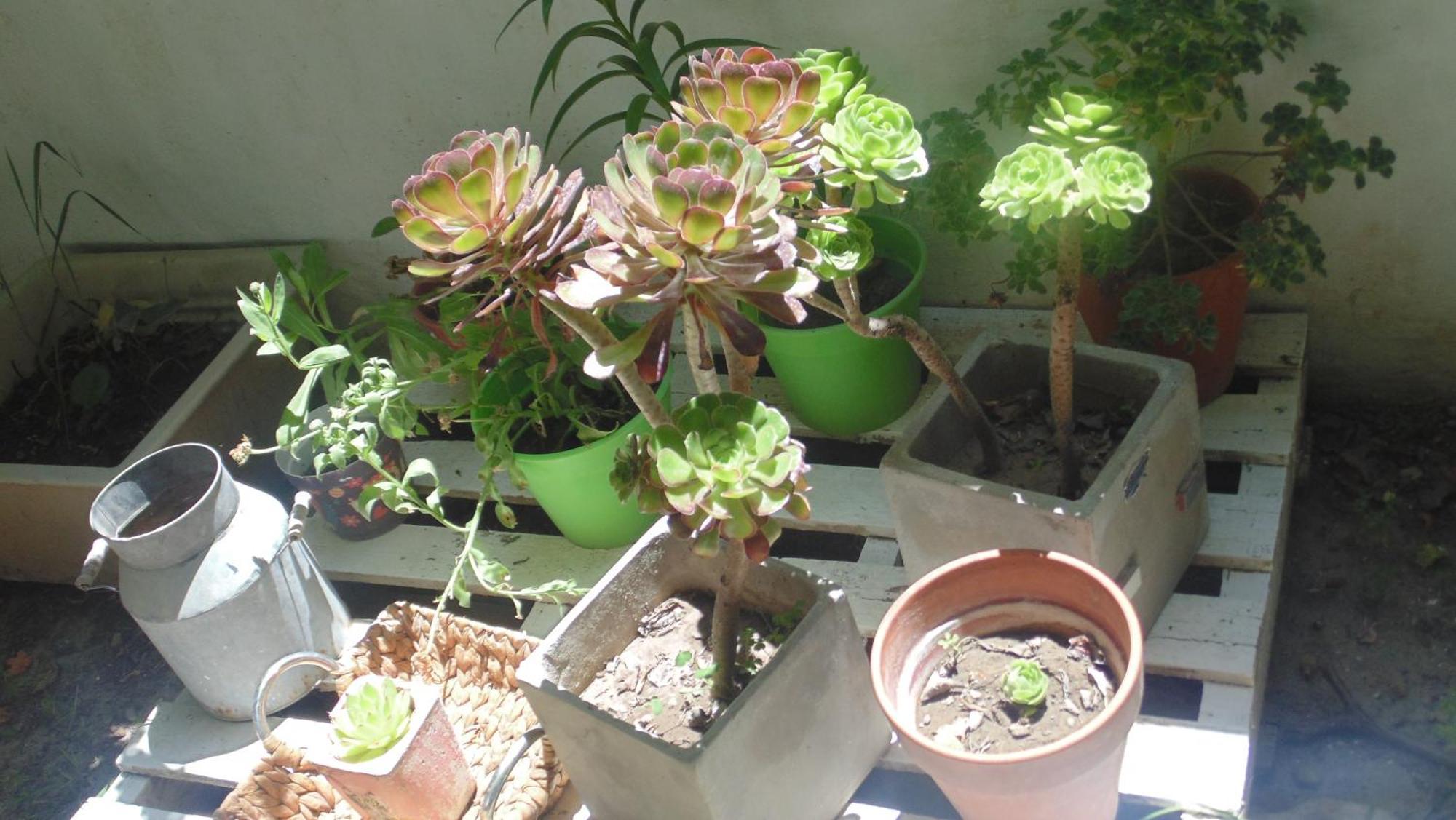 Casa Las Calas 푸에르토마드린 외부 사진